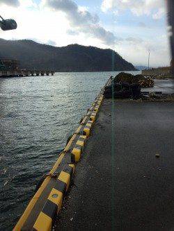 千歳にてメバリング　漁港の中で小さいアタリ、プチサイズのメバル釣れました