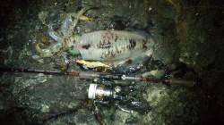 周参見～串本をランガン！キロアップ含む１２…