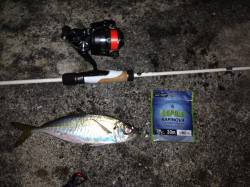 舞洲アジング☆寒い中モゾモゾっとしたアタリ…