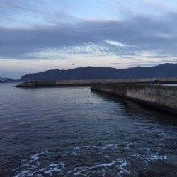 冬型が緩んだので日本海へ釣行　犬見～本郷周辺フカセ釣りでチヌ