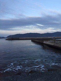 冬型が緩んだので日本海へ釣行　犬見～本郷周辺フカセ釣りでチヌ