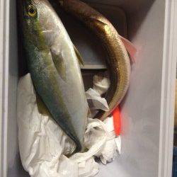 洲本　淡路島観光ホテルの釣り場にてハマチをキャッチ