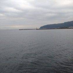 夕方から炬口へ釣行　開始早々カマスがヒット、アジもいてました