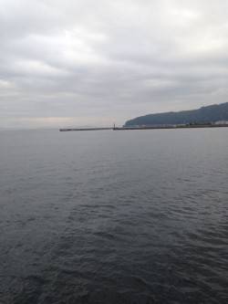 夕方から炬口へ釣行　開始早々カマスがヒット…