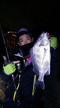 汐見埠頭周辺久々のチニングでキビレの釣果、やはり面白いです！