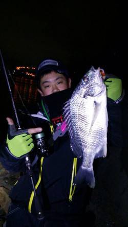 汐見埠頭周辺久々のチニングでキビレの釣果、…