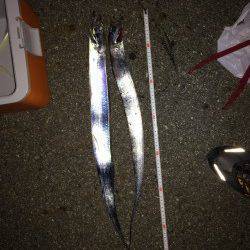 西からの風が強い中、西宮ケーソンでタチウオワインド　