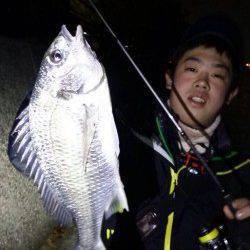 汐見埠頭周辺チニングで良型キビレ、間違いなく楽しいです！