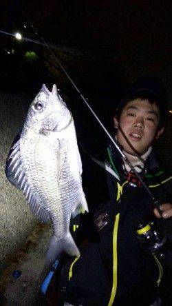 汐見埠頭周辺チニングで良型キビレ、間違いなく楽しいです！