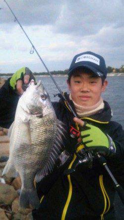 汐見埠頭周辺チニング　アップにキャストして底を丁寧に引くと良型キビレ