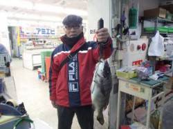 汐見埠頭周辺　約15年振りのフカセ釣りでチ…