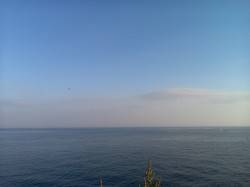 谷川漁港周辺アジング　潮の緩みで喰わせを入…