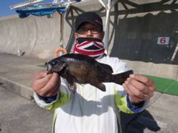 平磯海づり公園　ウキ釣りで27cmの良型メ…