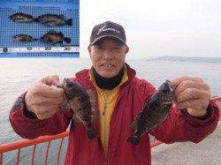 平磯海づり公園　シラサエビでメバル、タナは2.5ヒロ