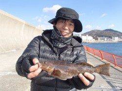 平磯海釣り公園　投げ釣りでアイナメ29cm