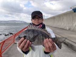 平磯海づり公園　ウキ釣りでチヌ35㎝