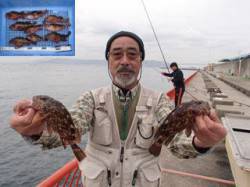平磯海づり公園、根魚好釣！ガシラ9尾