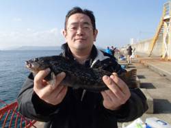 胴突仕掛けでアイナメ33cm　平磯海づり公…