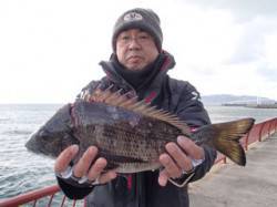 平磯海づり公園、ウキ流し釣りで立派なチヌ！…