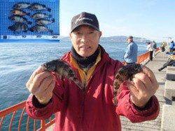 平磯海づり公園、本日もメバルが釣れています♫