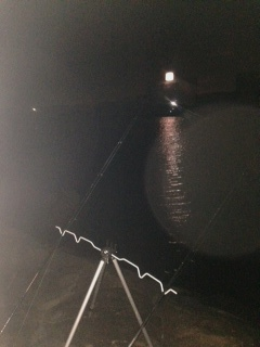 汐見埠頭周辺チョイ投げでアナゴ狙い　アタリの数は多かったです