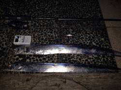 りんくう　ミノーを投入するとタチウオ二連続…