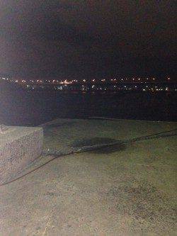 汐見埠頭にてアジング　底の方でアタリが集中しました