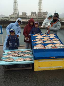 マダイたくさん釣ったどー！　マリーナシティ…