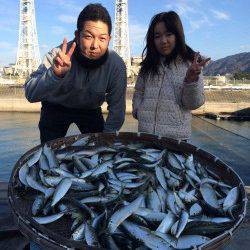 マリーナシティ海釣り公園　サビキでコノシロ・イワシ大漁