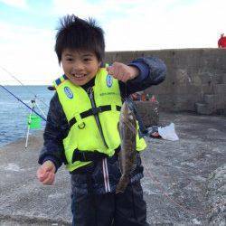 林崎漁港西部の突堤先端付近 ズボ釣りで28cmまでのアイナメを5尾