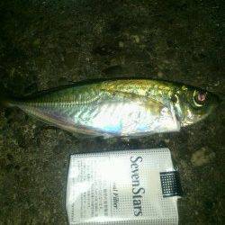 家島 風がある中でもアジラッシュあり