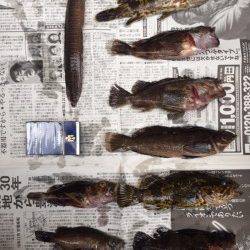 小島　2泊3日のランガン釣行でタケノコメバル中心の釣果