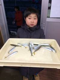 マリーナシティ海釣り公園　紀州釣りでチヌ15匹