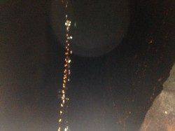 汐見埠頭、爆風の中で胴付　丁寧に探るとガシラが釣れました