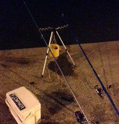 淡輪漁港内向き　アナゴ狙いで釣行してきました