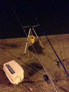 淡輪漁港内向き　アナゴ狙いで釣行してきました