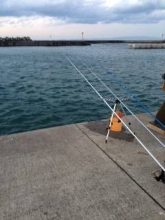 淡輪漁港にアナゴ狙いにへ　外道ではハゼが良く釣れました