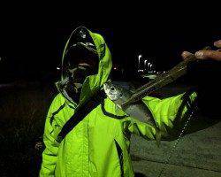 炬口周辺　爆風の中風裏でアジング　重めのＪＨで沖のボトムで好反応でした