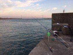 林崎漁港西部の突堤先端付近 ズボ釣りで28cmまでのアイナメを5尾