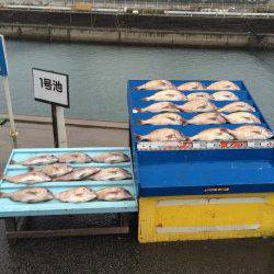 マダイたくさん釣ったどー！　マリーナシティ海洋釣り堀