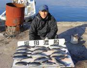 黒島の磯　グレ35.5cm頭に16匹と好釣…