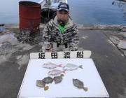 黒島の筏　エギングでアオリイカの釣果