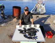 黒島の筏でチヌ・カワハギ　鷹島のカンドリではグレ20匹