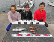 黒島の筏にてメジロ・ハマチ　黒島の磯ではチヌの釣果