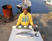 黒島の筏　のませでカンパチ2尾の釣果