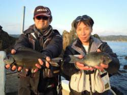 湯浅の磯・カルモ島　フカセ釣りでのグレ釣果…