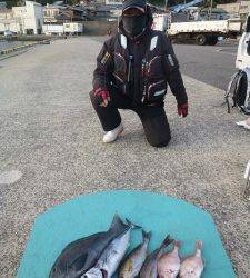 神谷　沖一文字内向きでグレ・スマガツオ・イサギ・小ダイ