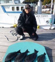 由良神谷　沖一文字内向きのカゴ釣りで40cmオーバーの良型グレ！