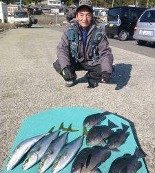 由良神谷の磯・ヒラバエ　カゴ釣りでグレ・イサギ・ハマチの釣果