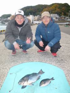 沖一文字内向き　ノマセでグレ・メジロ、カゴ釣りでスマガツオ・ヒラスズキ